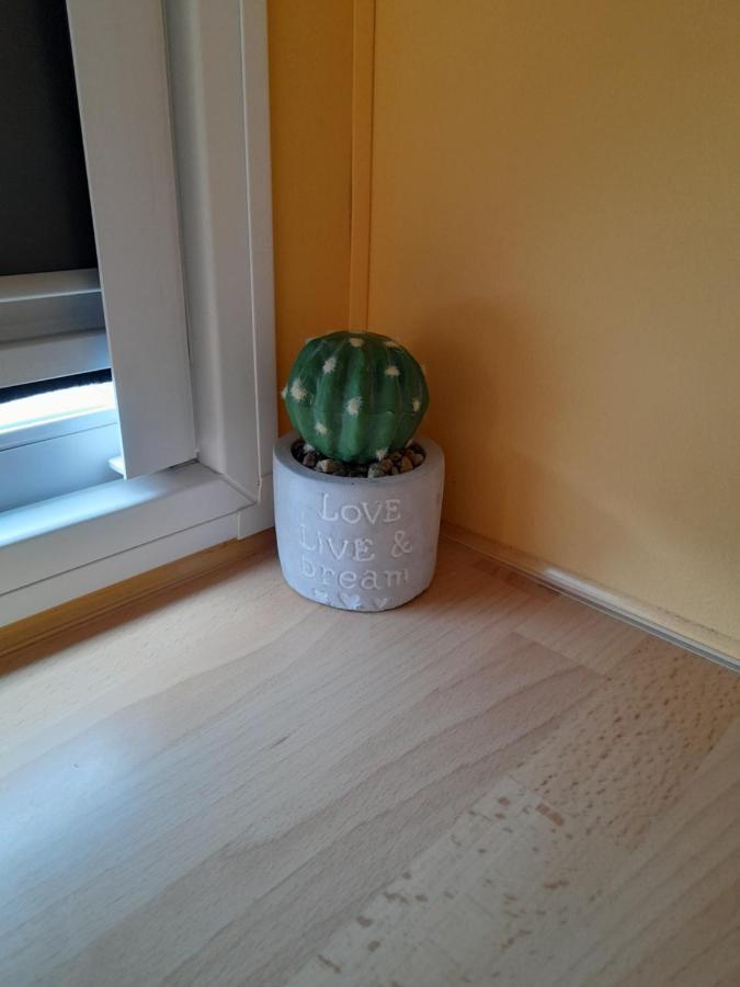 Appartamento A Casinha Da Aguieira Na Lands Hause L6 Burinhosa Esterno foto