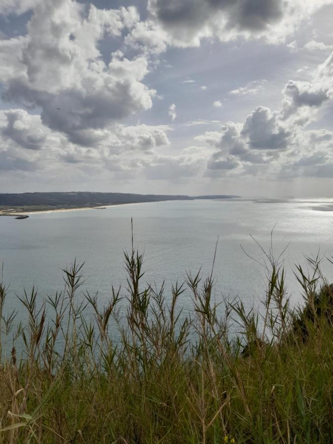 Appartamento A Casinha Da Aguieira Na Lands Hause L6 Burinhosa Esterno foto
