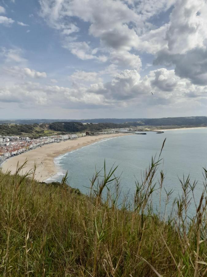 Appartamento A Casinha Da Aguieira Na Lands Hause L6 Burinhosa Esterno foto
